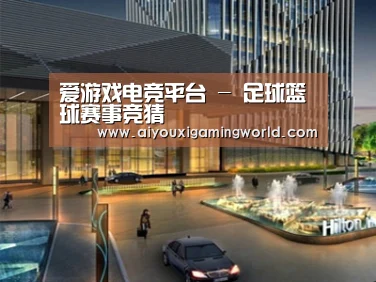 案例展示二(图1) 案例展示二(图1)