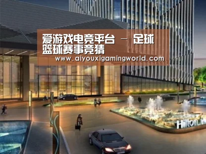 案例展示二