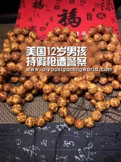 美国12岁男孩持假枪遭警察射杀 警告数秒后就开枪|爱游戏APP(图1) 爱游戏官网