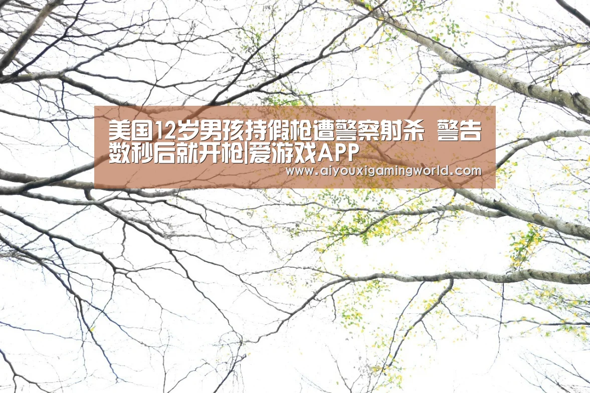 美国12岁男孩持假枪遭警察射杀 警告数秒后就开枪|爱游戏APP(图3) 爱游戏官网
