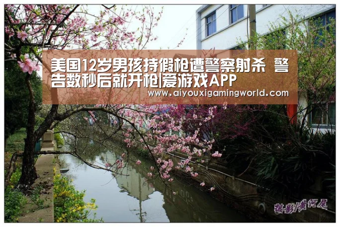 美国12岁男孩持假枪遭警察射杀 警告数秒后就开枪|爱游戏APP(图4) 爱游戏电竞