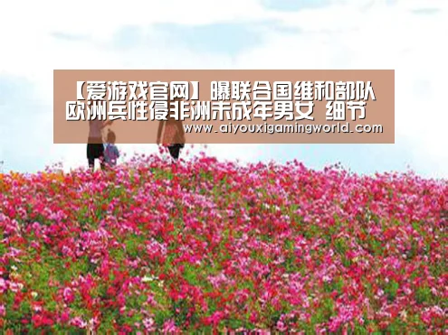 爱游戏APP