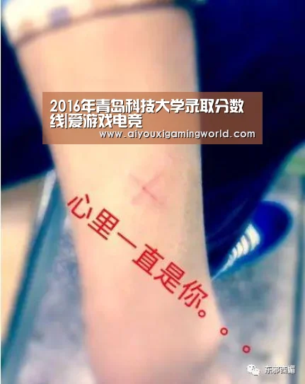 2016年青岛科技大学录取分数线|爱游戏电竞(图2) 爱游戏电竞