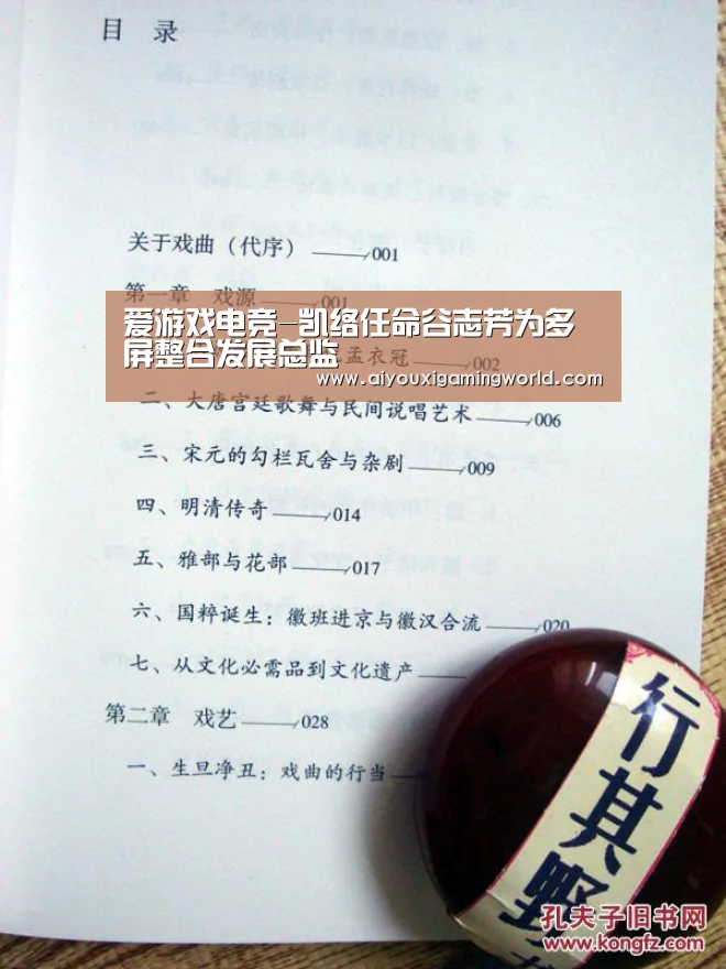 爱游戏电竞
