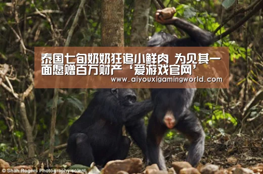 泰国七旬奶奶狂追小鲜肉 为见其一面愿赠百万财产‘爱游戏官网’(图2) 爱游戏官网